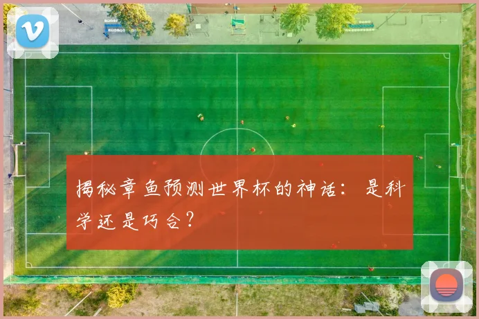 揭秘章鱼预测世界杯的神话：是科学还是巧合？