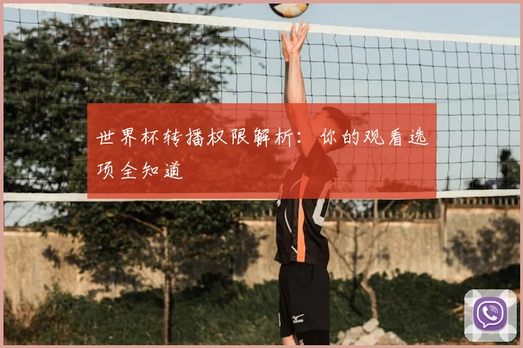 世界杯转播权限解析：你的观看选项全知道